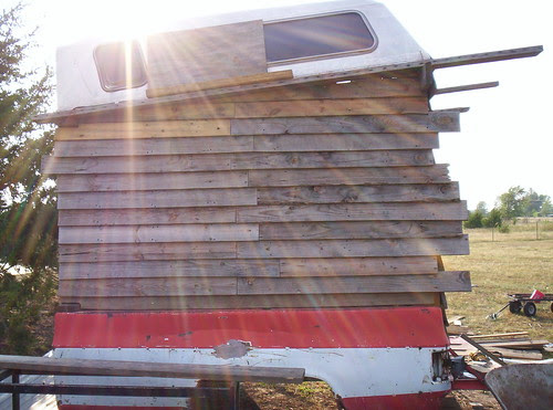Picture 006
