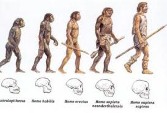 homo habilis time period
