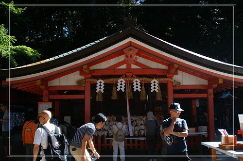 PICT7398