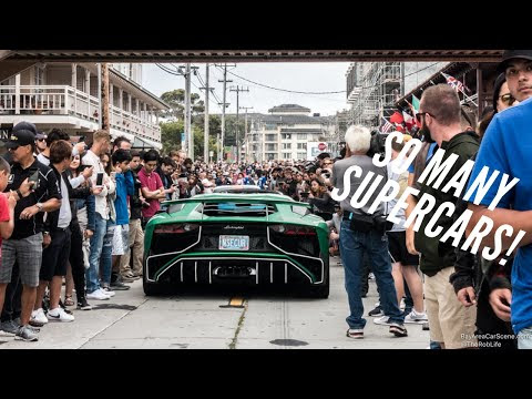 Exotics on Cannery Row 2018