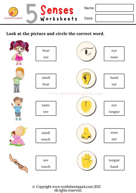  5 senses worksheets