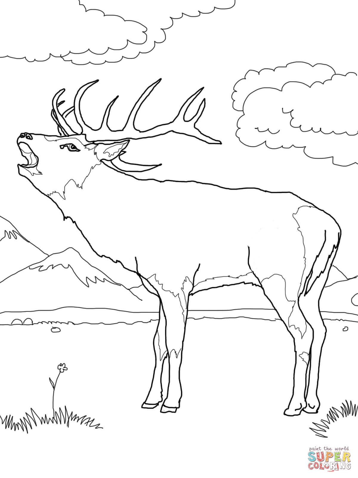Red deer coloring pages download and print for free