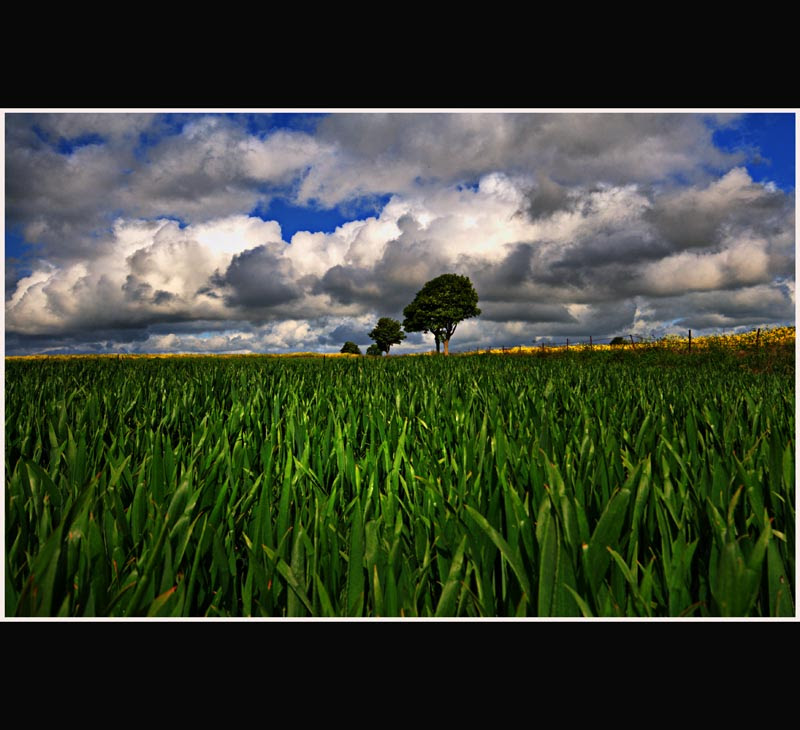 calm nature scene. clouds. cool