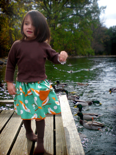 reversible bird seed skirt