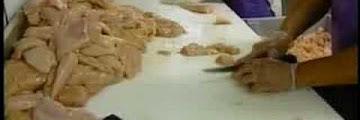 Lupos Spiedies Binghamton Ny Download Audio Mp3 and Mp4