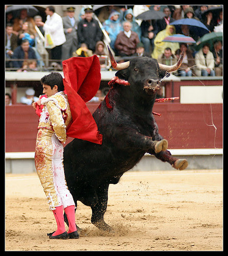 Alejandro Talavante
