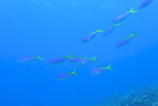 PA270015 (2).jpg