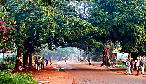 Whitefield