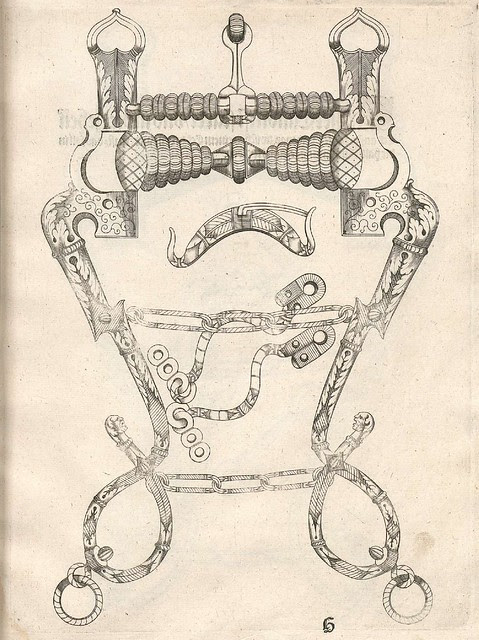 Pferdegebisse by Mang Seuter, 1614 (5)