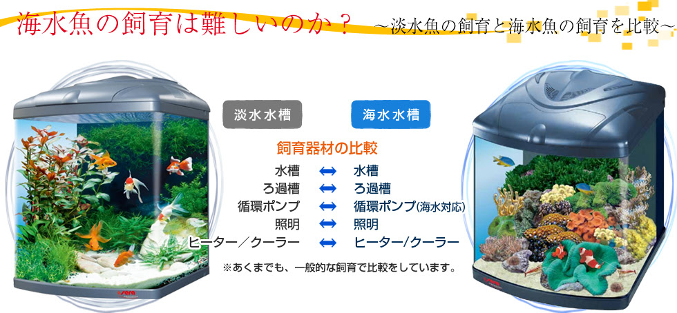 失敗しない為の海水魚ガイド 海水魚飼育の基本知識 株式会社セラジャパン