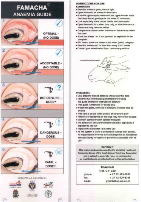 Always use the chart not memory. pin on goats
