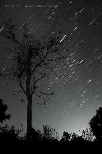 night