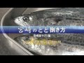 ++ 50 ++ さごし 刺身 161570-サゴシ 刺身 皮