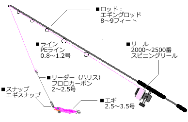 エギングタックルの紹介
