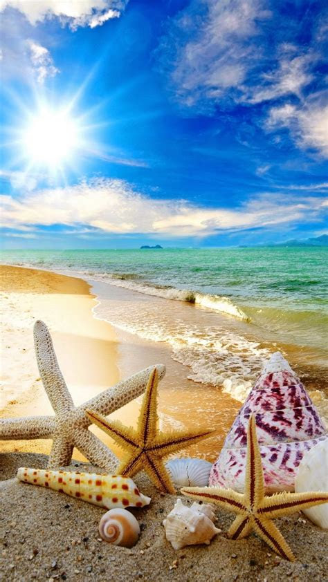 cool summer backgrounds wallpapertag