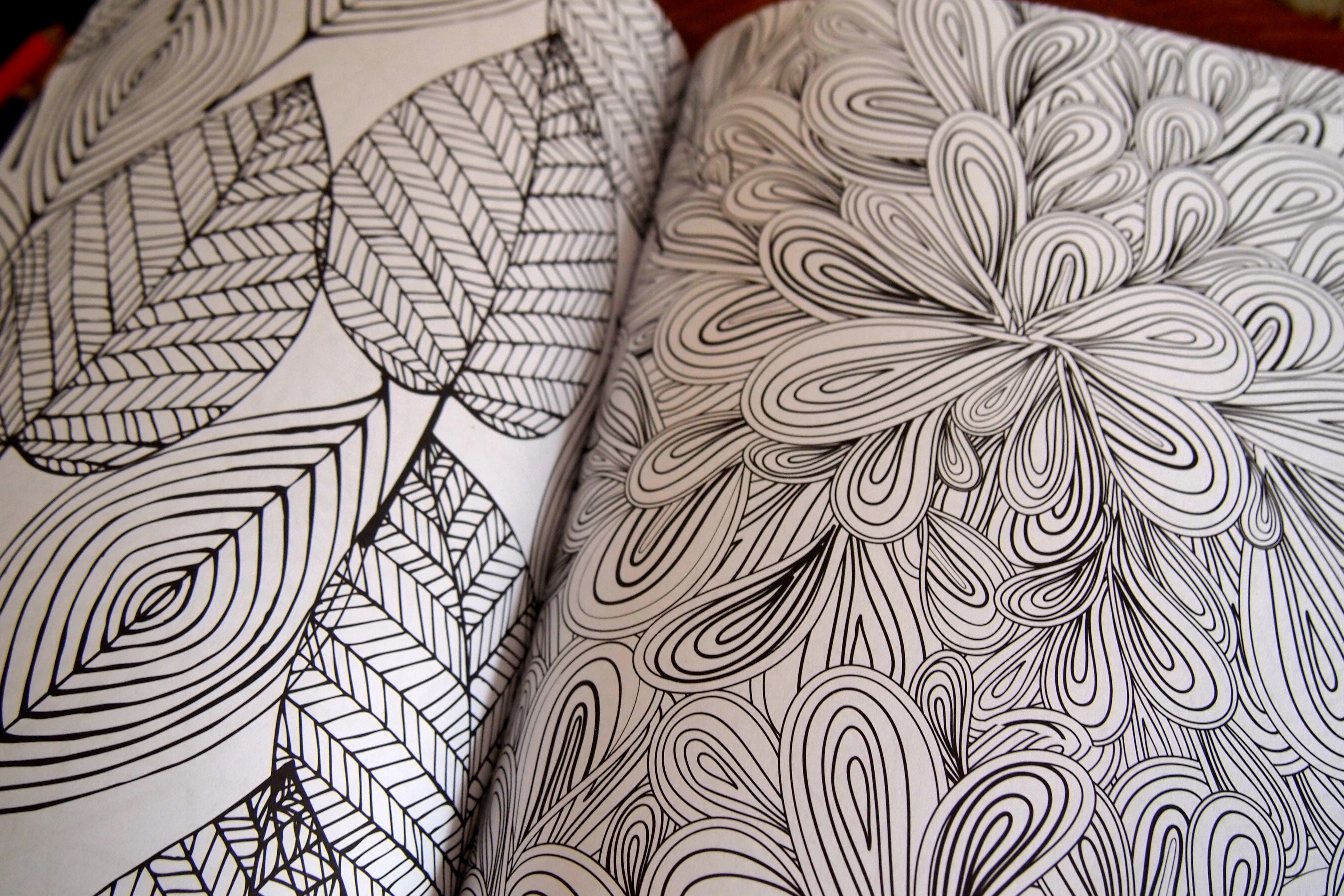 Kleurboeken voor volwassenen | De Groene Meisjes