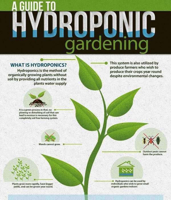 Hydroponic #Gardening Guides
