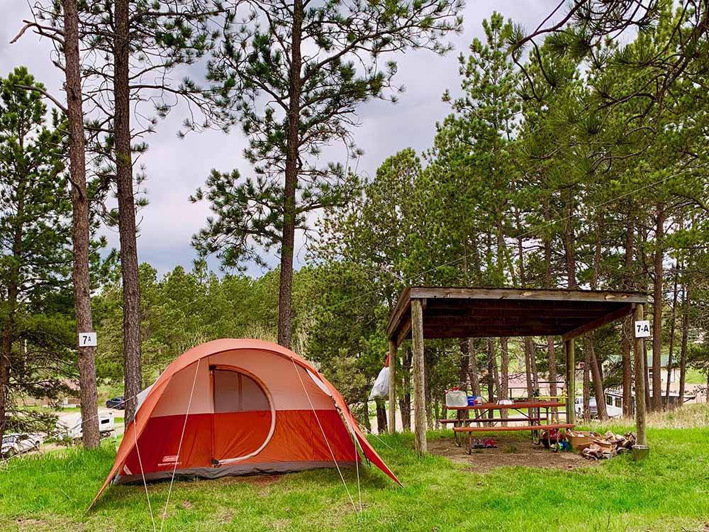 Beaver Lake Campground - Custer campgrounds | Good Sam Club