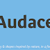 Download Audace Std Fonts Family From Typofonderie
