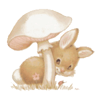 Conejos-31.gif