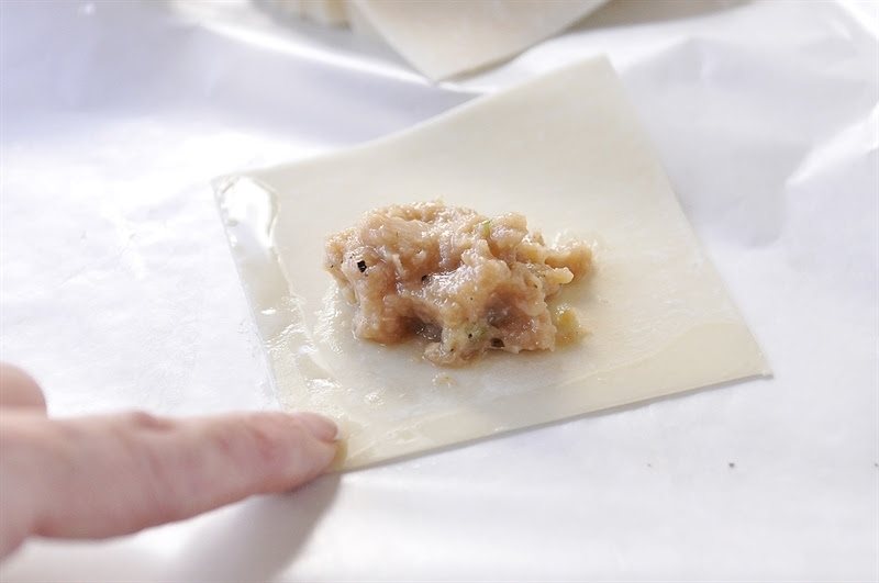 Chicken Potstickers