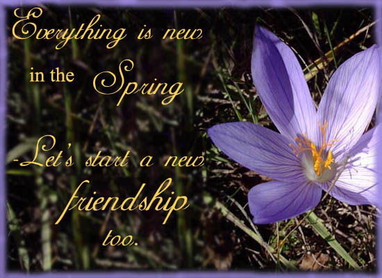 Let’s Start A New Friendship. Free Friendship Etc eCards | 123 Greetings