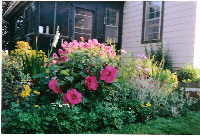 front yard landscaping. front yard landscaping.