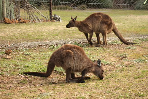 Hanson Bay, Kangaroo Island - South Australia