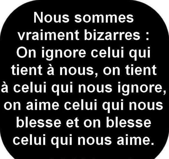 Citation En Image