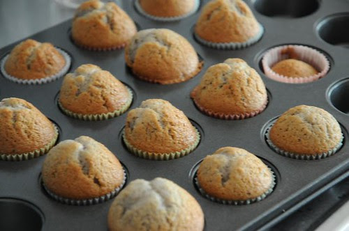 blueberrymuffins-americancookies