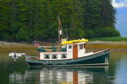 Nellie in Alaska