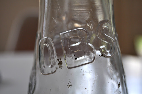 DSC_0140 v2