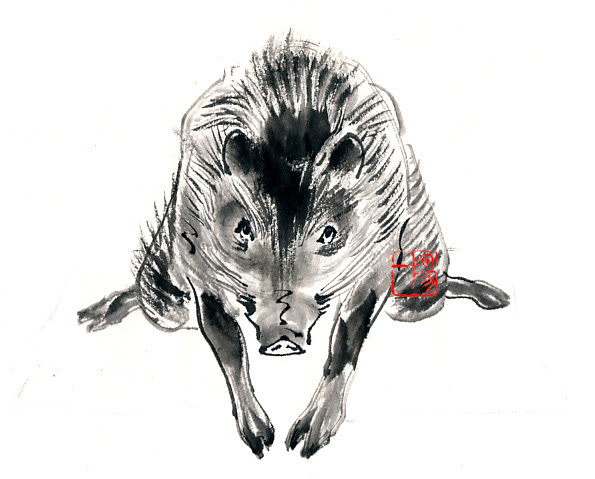 イノシシの描き方