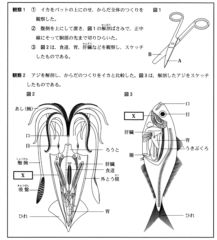 山口学習塾 定期テスト対策 入試問題 千葉県理科