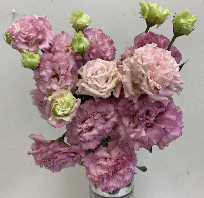 ボンボヤージュスイートピンク トルコキキョウ 切り花 図鑑 写真と名前別 季節別 月別 色別 種類別で探せる切り花専門の花図鑑