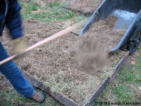 Mulching the garlic bed in the kitchen garden on 11-13-10