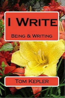 cover1for.ebook