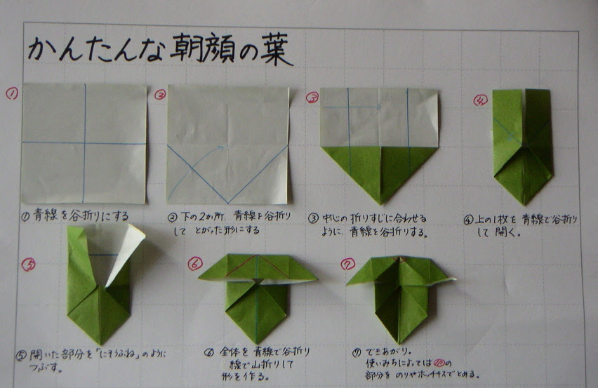 朝顔の葉の折り方 けふこの本棚と文具の引き出し