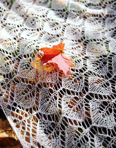 Lehmushuivi - rohdinpellava