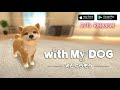 画像をダウンロード 犬 写��� アプリ 189827-猫 犬 写真 ���プリ