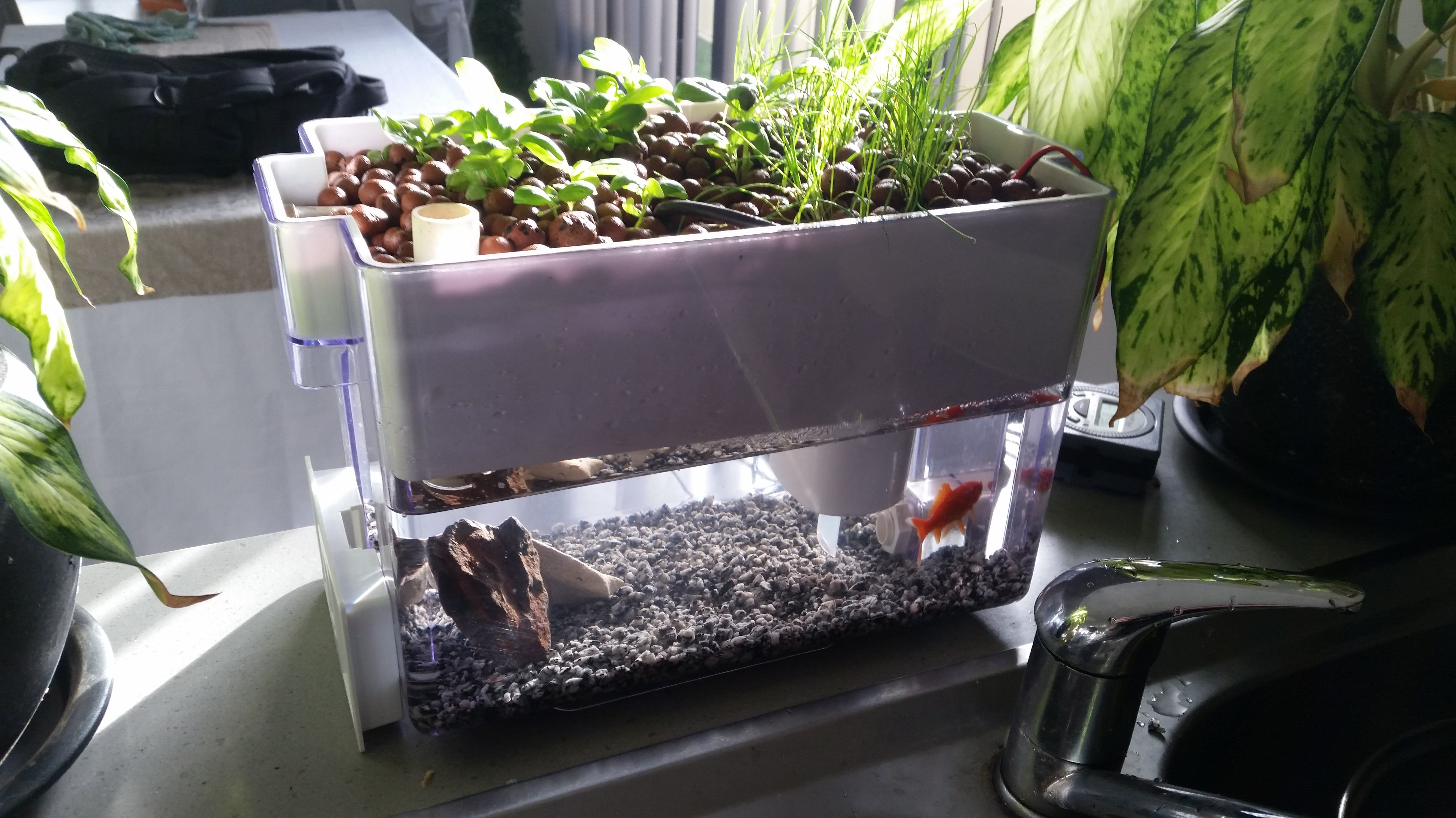 explore reddit - /r/aquaponics