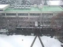 20080123-5.JPG
