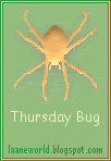 thursday bug meme