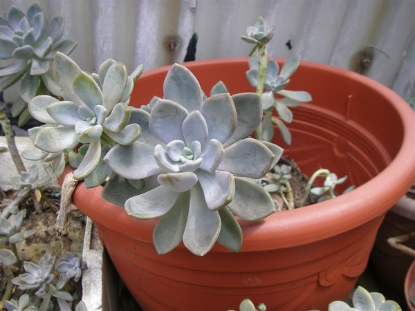 P1014542.JPG