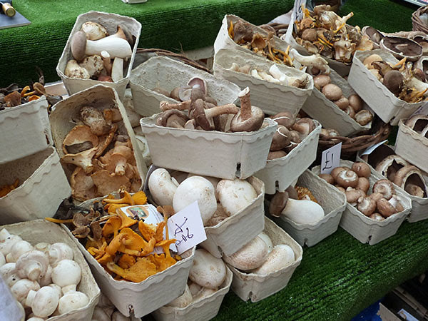mushrooms