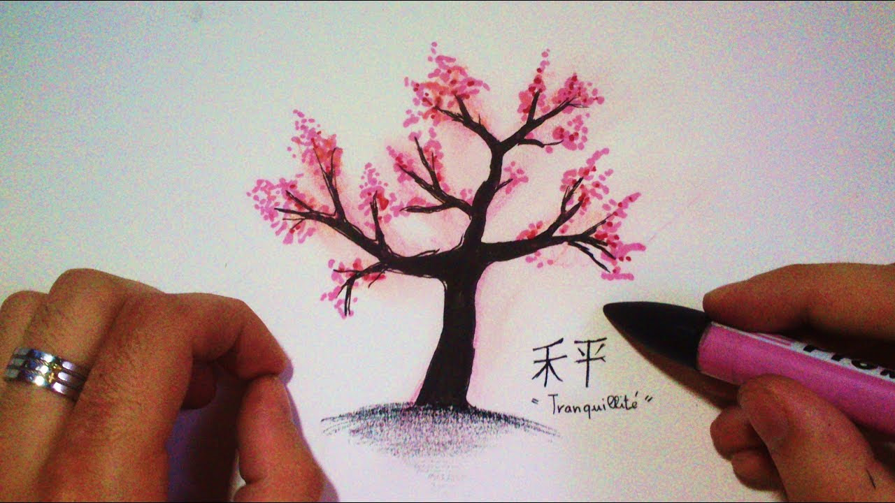 Dessin fleur de cerisier japonais - du japon et des fleurs