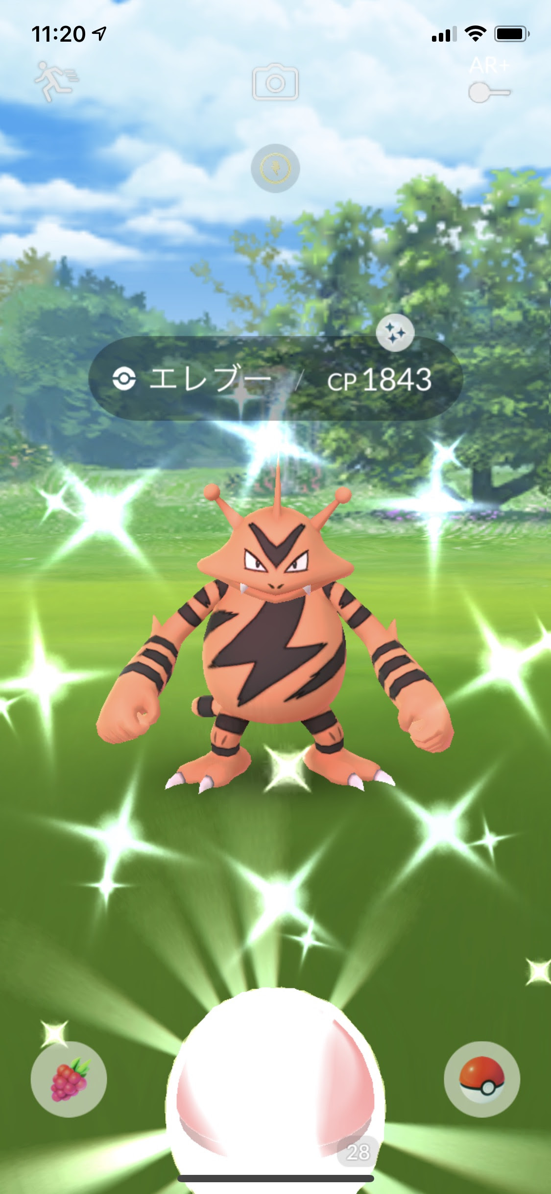 ダウンロード済み ポケモン プラチナ グライオン そらをとぶ 50以上のイラストコレクションはこちら