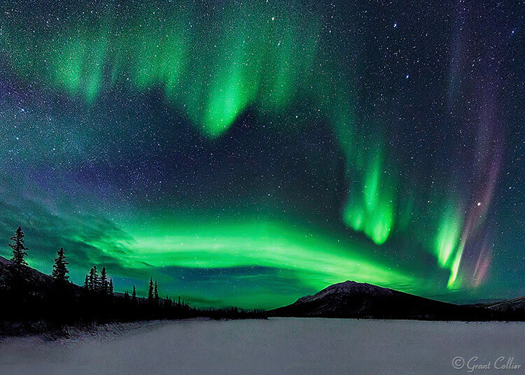 Grant Collier Northern Lights 2