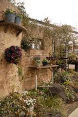 Image009 Jpg