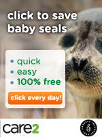 Click to Defend Baby Seals